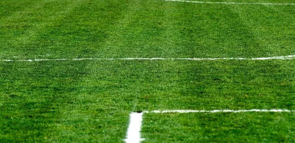 Close-up of a soccer field with white lines