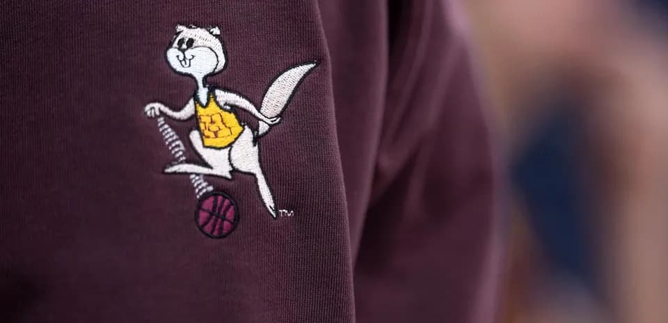 Embroidered mascot character on sweatshirt