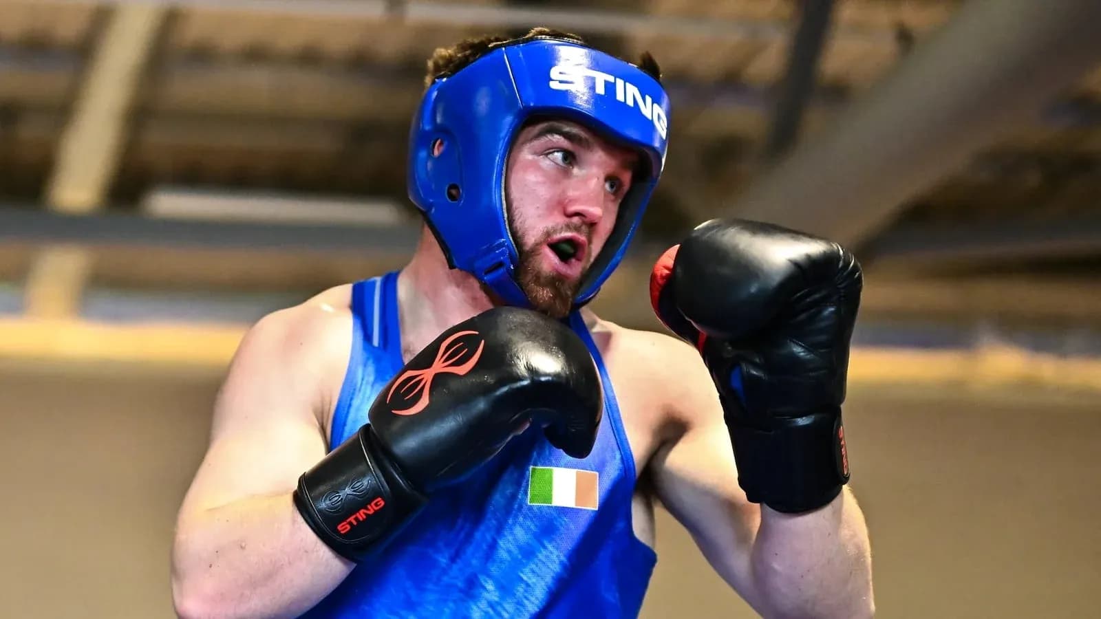 Boxer training with gloves and headgear in gym