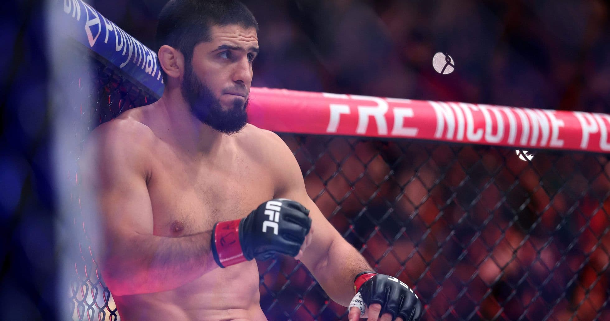 Fighter resting in corner of the octagon