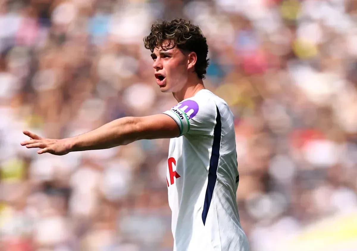 Player gesturing during match in Tottenham kit Player gesturing during match in Tottenham kit