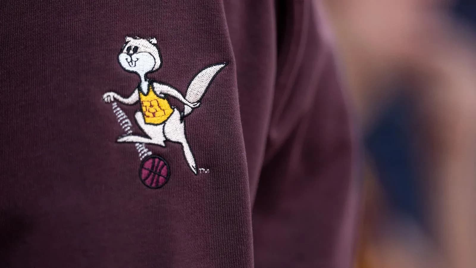 Embroidered mascot character on sweatshirt Embroidered mascot character on sweatshirt