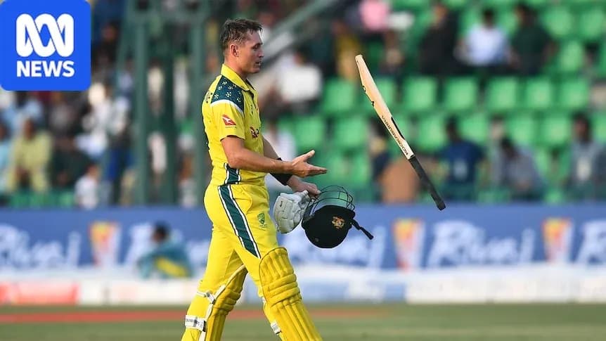 Batsman tossing his bat after dismissal on field Batsman tossing his bat after dismissal on field